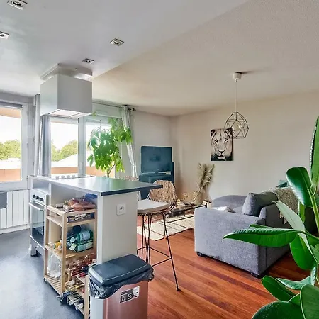 Lovely Flat With Terrace //toulouse//